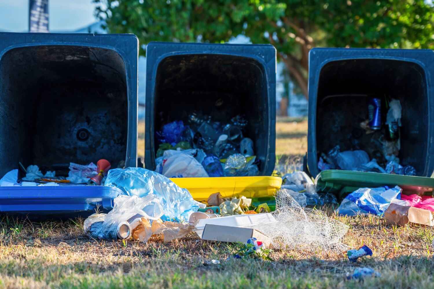 Best Office Junk Removal  in Calvert, TX